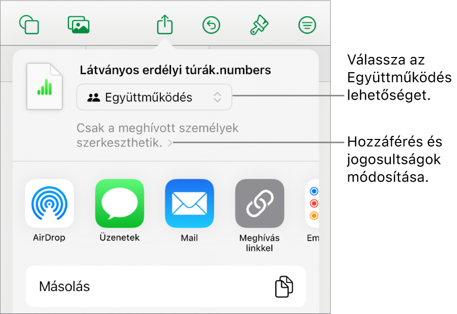 A Megosztás menü a felül kijelölt Együttműködés lehetőséggel, és az alatt látható hozzáférési és jogosultsági beállításokkal.