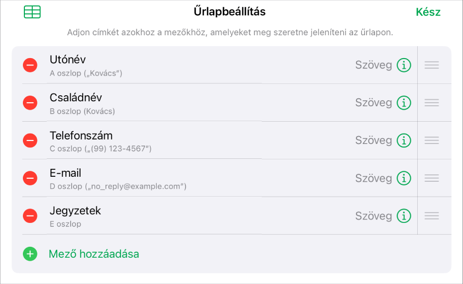 Az űrlap-beállításvezérlők, a mezők hozzáadására, szerkesztésére, átrendezésére és törlésére, valamint azok formátumának (pl. Szöveg vagy Százalék) módosítására szolgáló opciókkal.