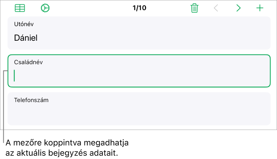 Egy űrlap bejegyzése az aktív mezővel és a beszúrási ponttal.