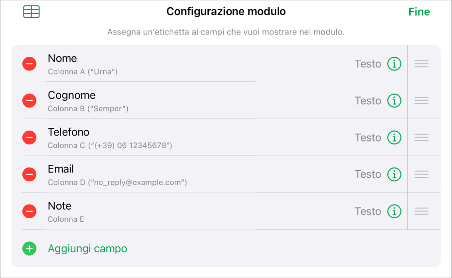 I controlli di configurazione del modulo con le opzioni per aggiungere, modificare, ordinare ed eliminare campi, così come per modificarne il formato (ad esempio, da Testo a Percentuale).