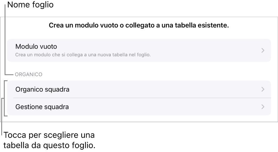 Un elenco di tabelle nello stesso foglio di calcolo, con l’opzione per creare un modulo vuoto in alto.