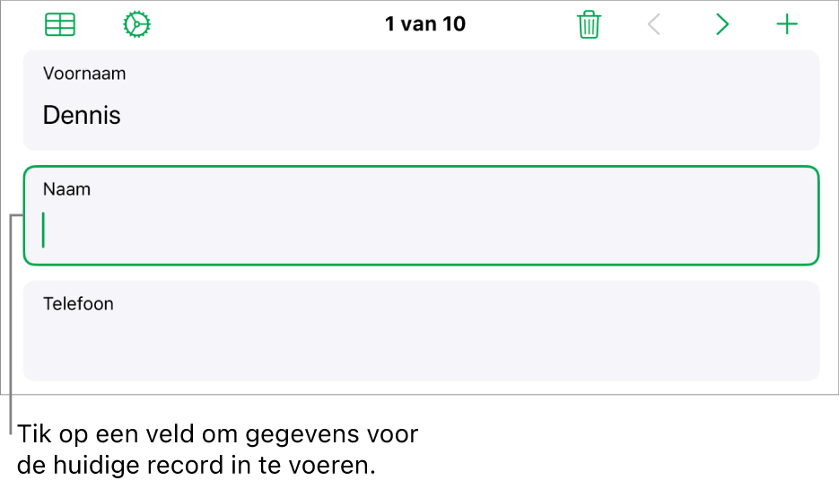 Een record in een formulier met het invoegpunt in een geselecteerd veld.