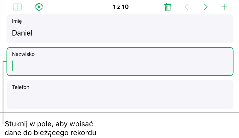 Rekord formularza pokazujący aktywne pole z punktem wstawiania.