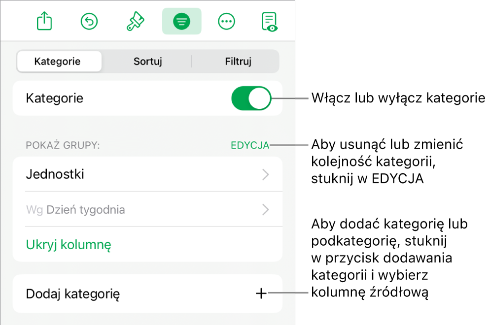 Menu Kategorii dla iPadzie z opcjami wyłączania lub usuwania kategorii, przegrupowywania danych, ukrywania kolumny źródłowej oraz dodawania kategorii.