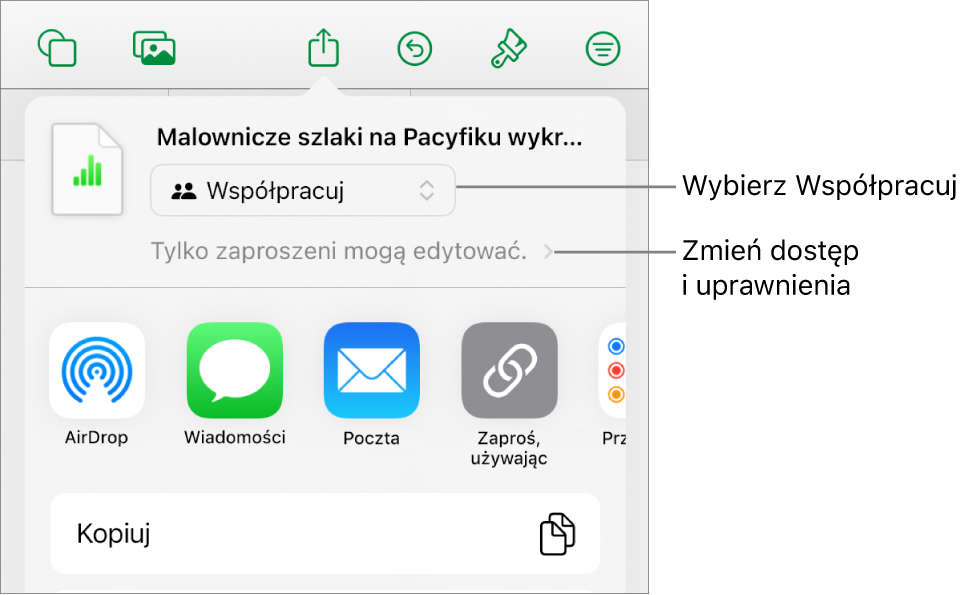 Menu udostępniania z opcją Współpracuj wybraną u góry oraz ustawieniami dostępu i uprawnień poniżej.