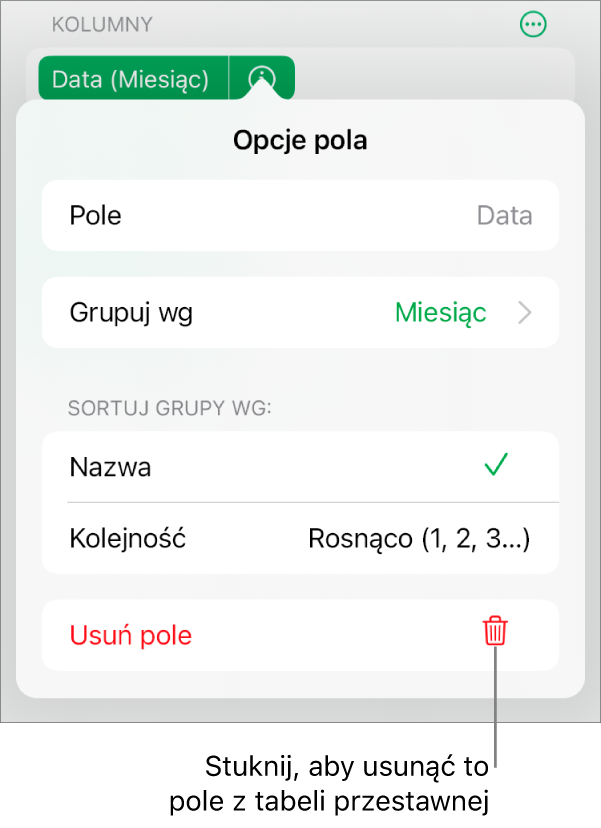 Menu Opcje pola pokazujące narzędzia grupowania i sortowania danych, a także opcja usuwania pola.
