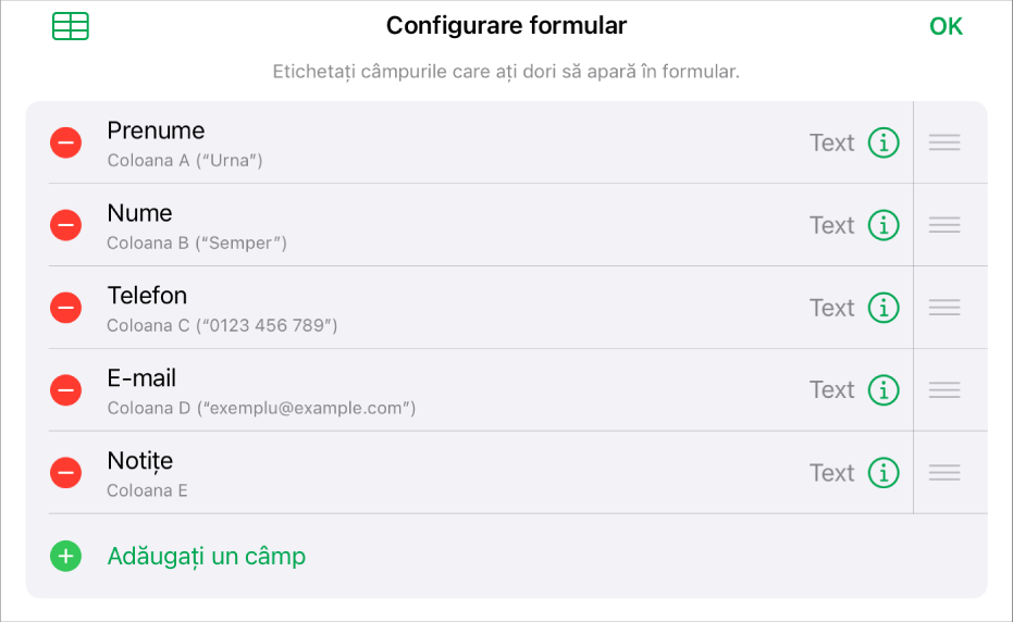 Comenzile de configurare a formularului, afișând opțiunile de adăugare, editare, reordonare și ștergere a câmpurilor, cât și pentru modificarea formatului câmpurilor (de exemplu, din Text în Procentaj).
