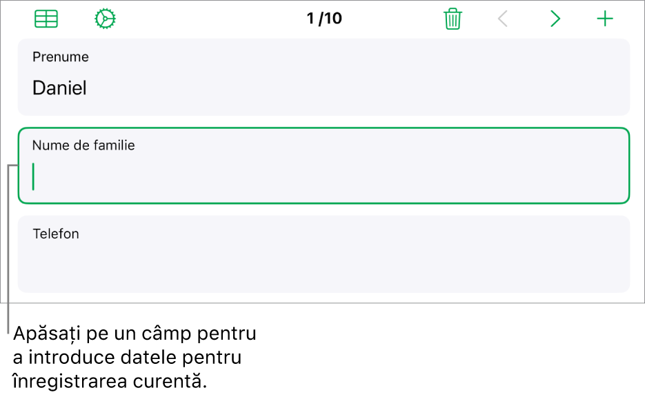 O înregistrare dintr-un formular afișând un câmp activ cu un punct de inserare.