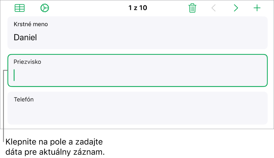 Záznam vo formulári zobrazujúci aktívne pole s kurzorom.