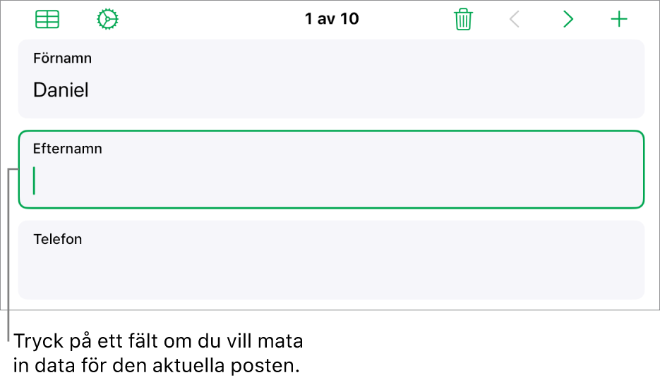 En post i ett formulär som visar ett aktivt fält med en insättningspunkt.