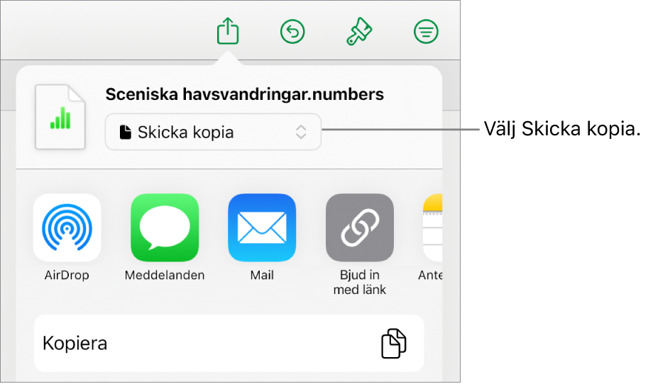 Delningsmenyn med Skicka kopia markerat högst upp.