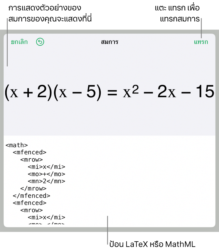 หน้าต่างโต้ตอบสมการ ที่แสดงสมการที่เขียนโดยใช้คำสั่ง MathML และการแสดงตัวอย่างของสูตรด้านบน