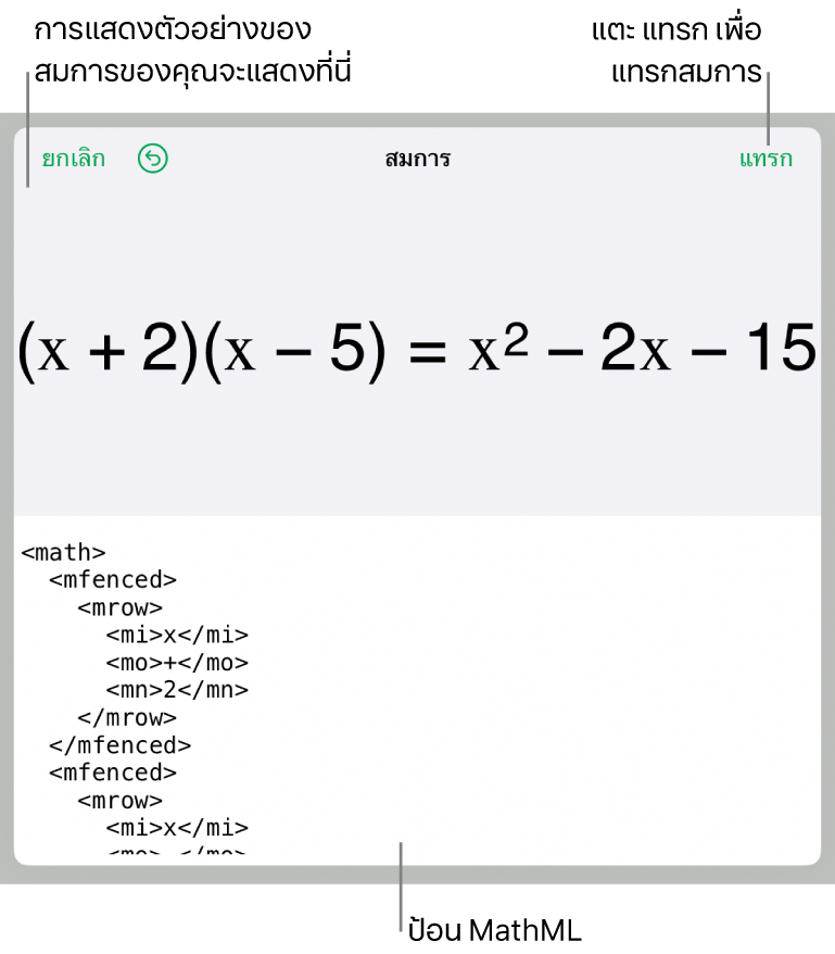 หน้าต่างโต้ตอบสมการ ที่แสดงสมการที่เขียนโดยใช้คำสั่ง MathML และการแสดงตัวอย่างของสูตรด้านบน