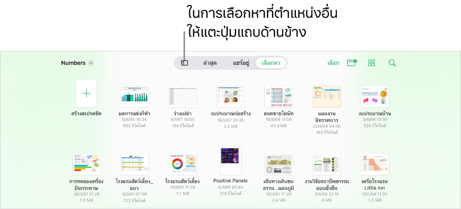 ตัวจัดการเอกสารสำหรับ iPad