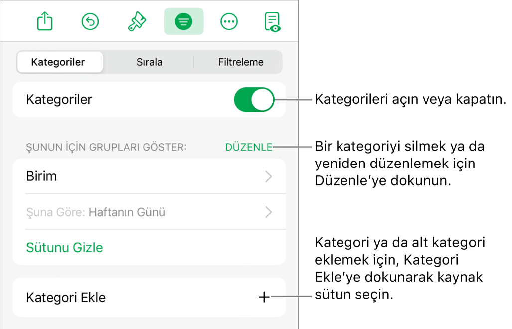 Kategorileri kapatma, kategorileri silme, verileri yeniden gruplama, kaynak sütunu gizleme ve kategori ekleme seçeneklerini içeren, iPad için Kategoriler menüsü.