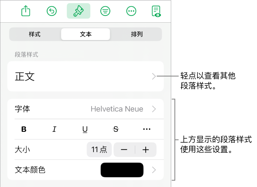 显示文本控制的“格式”菜单，用于设定段落和字符样式、字体、大小和颜色。