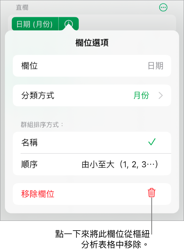 「欄位選項」選單,其顯示群組和排序資料的控制項目,以及移除欄位的選項。