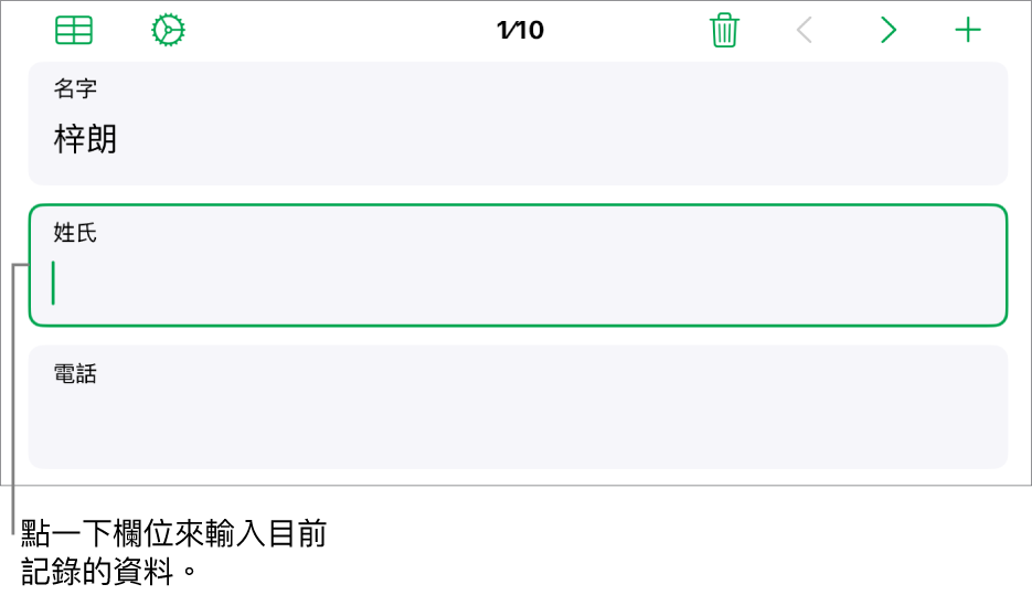 表單中的記錄,顯示一個包含插入點的活躍欄位。
