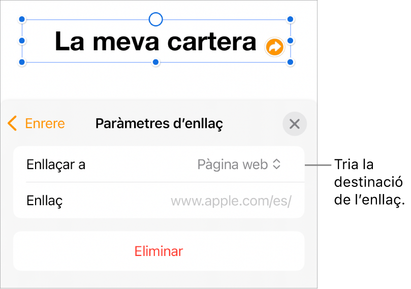 Controls “Paràmetres d’enllaç” amb l’opció “Pàgina web” seleccionada i el botó “Elimina” situat a la part inferior.
