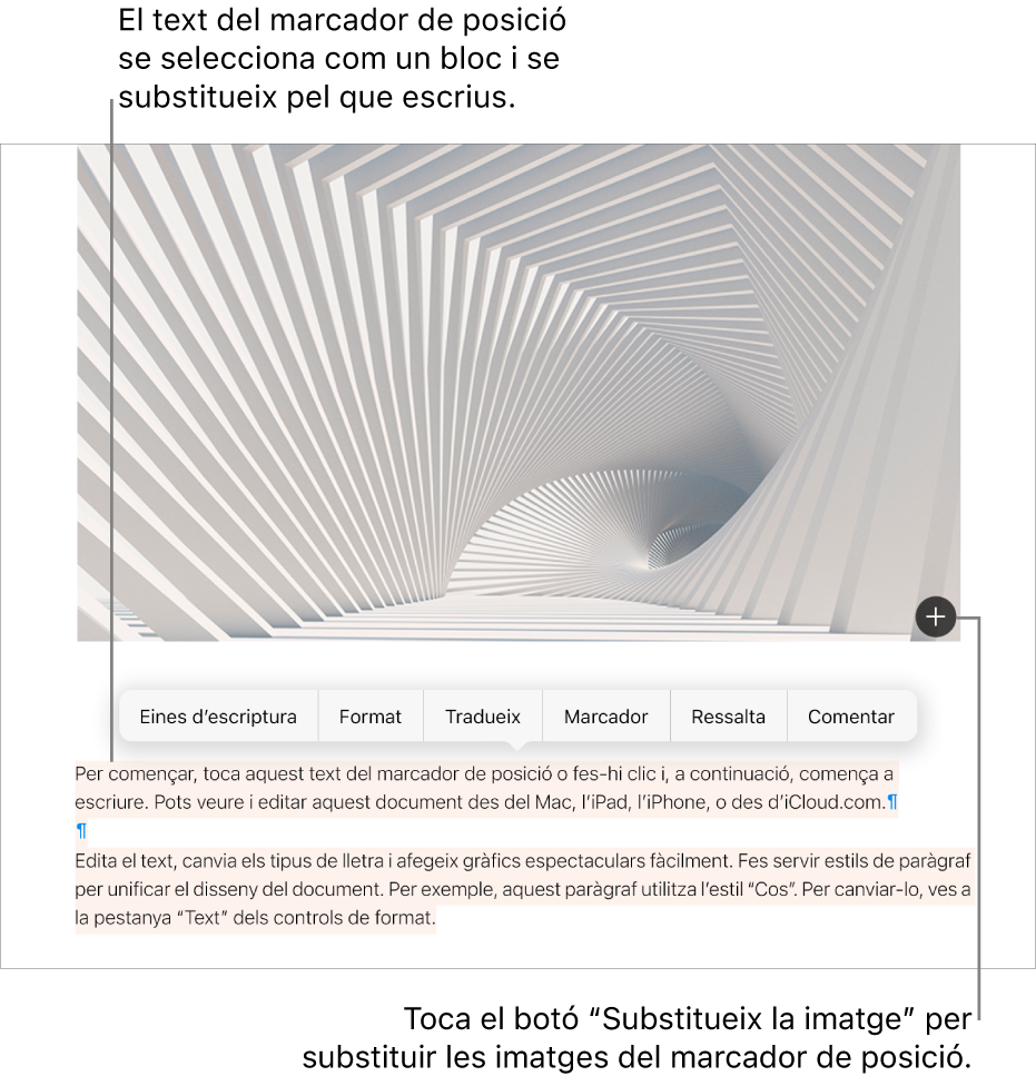 Text i imatges de marcador de posició.