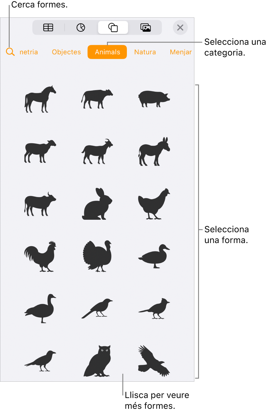 La biblioteca de formes, amb categories a la part superior i les formes a sota. Pots utilitzar el botó de cerca situat a la part superior per trobar formes i passar el dit per veure’n més.