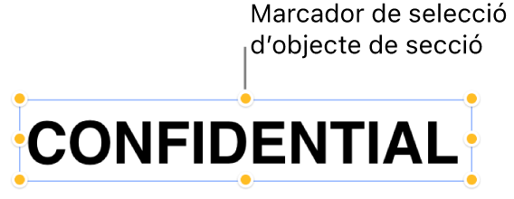 Un objecte amb marcadors de selecció.