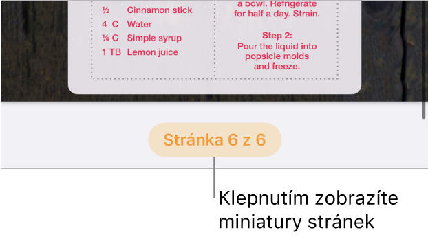 Otevřený dokument s tlačítkem čísla stránky dole uprostřed obrazovky.
