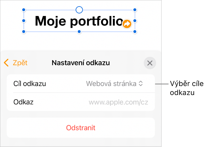 Ovládací prvky Nastavení odkazu s vybranou volbou Webová stránka a tlačítkem Odstranit v dolní části