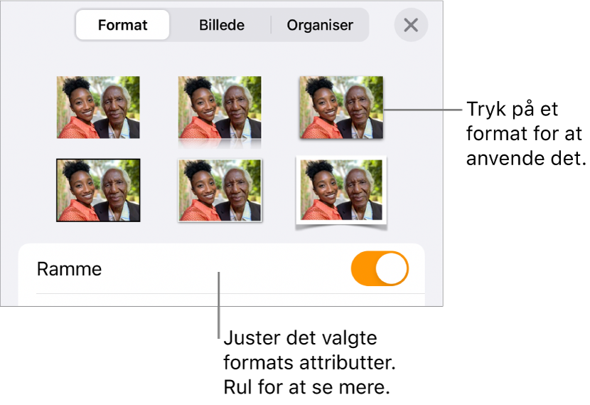 Format til menuen Format med objektformater øverst og derunder en betjeningsmulighed til ændring af rammen.