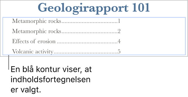 En indholdsfortegnelse i et dokument. Punkter, der viser overskrifter og sidetal.