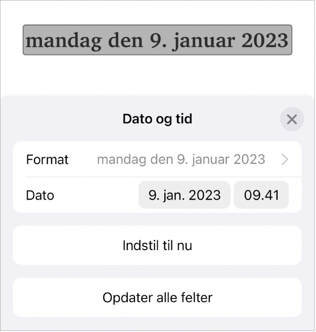 Betjeningsmuligheden Dato & tid viser en lokalmenu til datoformat samt knapperne Indstil til nu og Opdater alle felter.