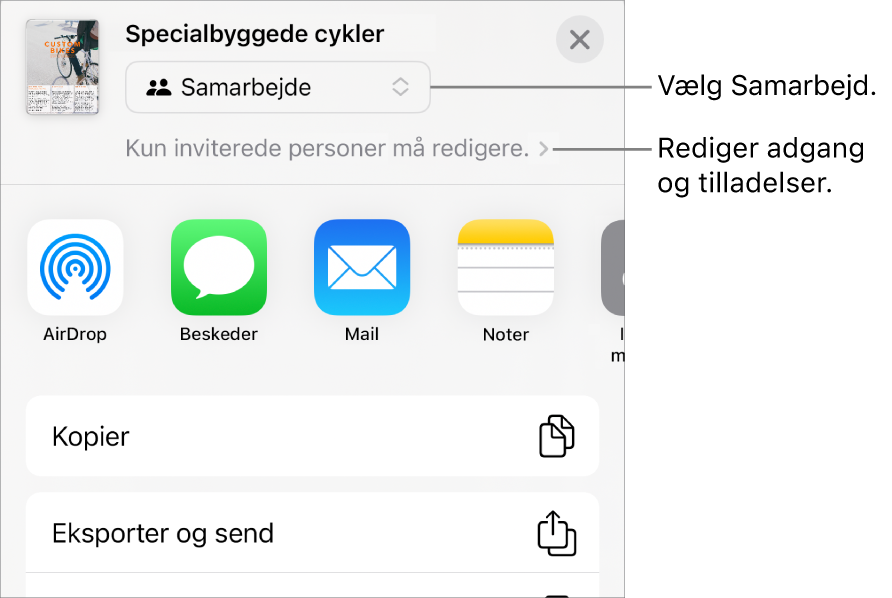 Menuen Del med Samarbejde valgt øverst og adgangs- samt tilladelsesindstillinger nedenunder.