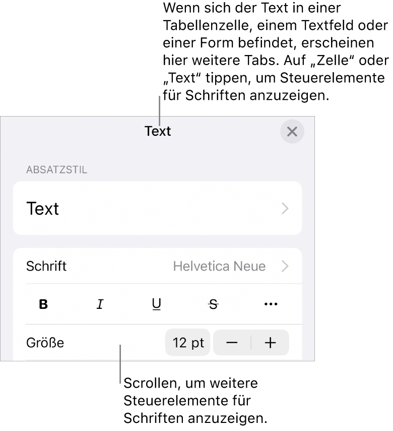 Textsteuerelemente im Menü „Format“ zum Festlegen von Absatz- und Zeichenstilen, Schrift, Größe und Farbe