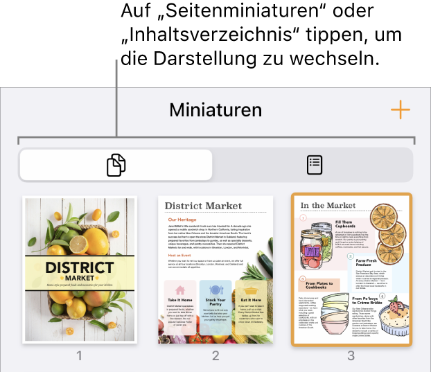 Die Miniaturdarstellung der Seiten mit einer Miniatur jeder Dokumentseite. Die Taste „Seitenminiaturen“ und die Taste „Inhaltsverzeichnis“ unten auf dem Bildschirm.