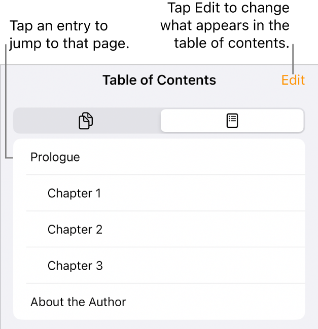 The table of contents view with headings in a list. An Edit button is in the top-right corner and, at the bottom, are the Page, Thumbnail and Table of Contents buttons.