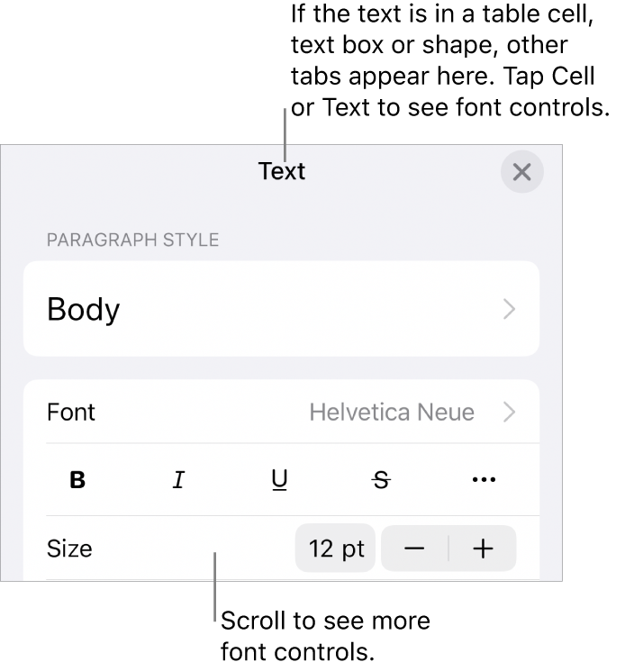 Text controls in the Format menu for setting paragraph and character styles, font, size and colour.