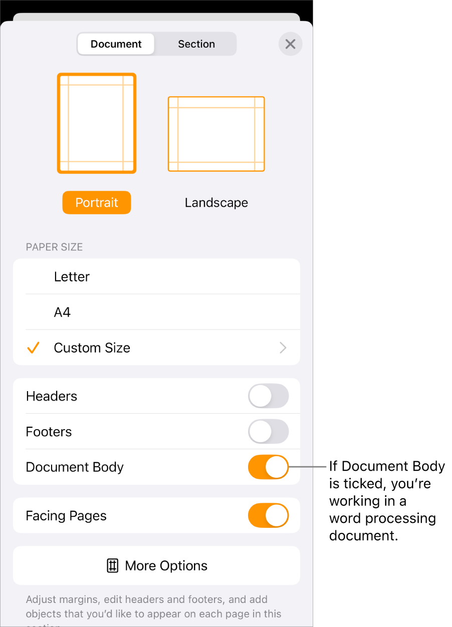 Document Set-Up open with Document Body ticked in a word processing document.