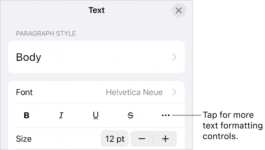 The Text tab of the Format controls, with a callout to the More Text Options button.