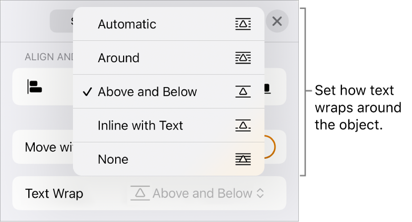 The Text Wrap controls with settings for Automatic, Around, Above and Below, Inline with Text and None.