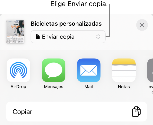 El menú Compartir con la opción Enviar copia seleccionada en la parte superior.