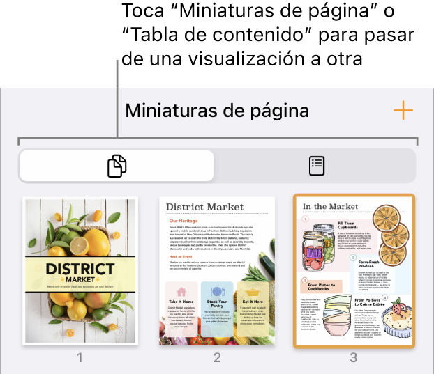 Visualización de miniaturas de página con imágenes en miniatura de cada página. Hay un botón “Miniaturas de página” y un botón de la tabla de contenido en la parte inferior de la pantalla.