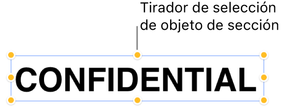 Un objeto con tiradores de selección.