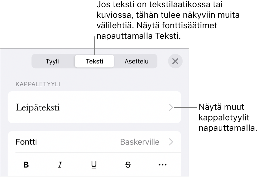 Muoto-valikko, jossa on tekstisäätimet kappale- ja merkkityylien, fontin, koon ja värin valitsemista varten.