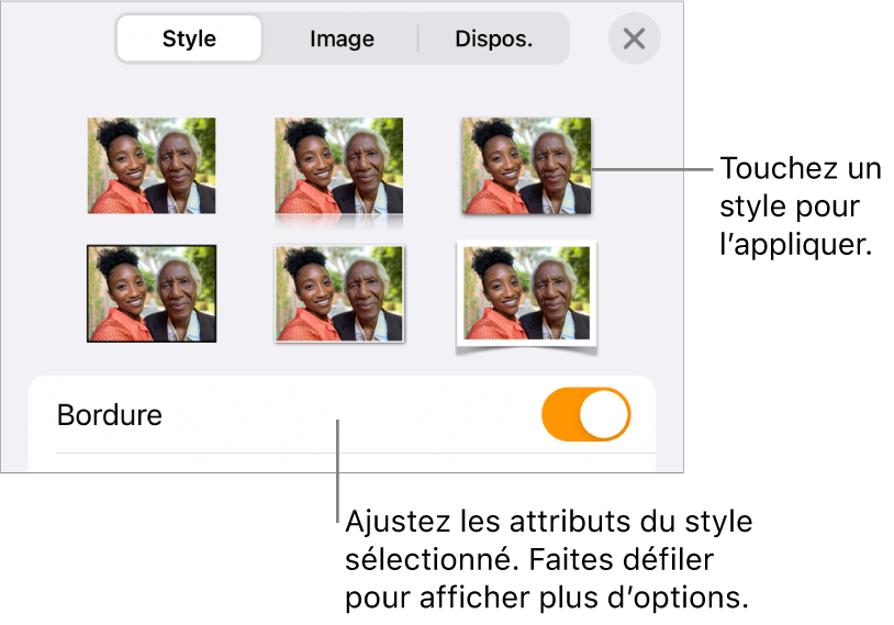 Style du menu Format avec des styles d’objet en haut et, en dessous, une commande de modification de bordure.