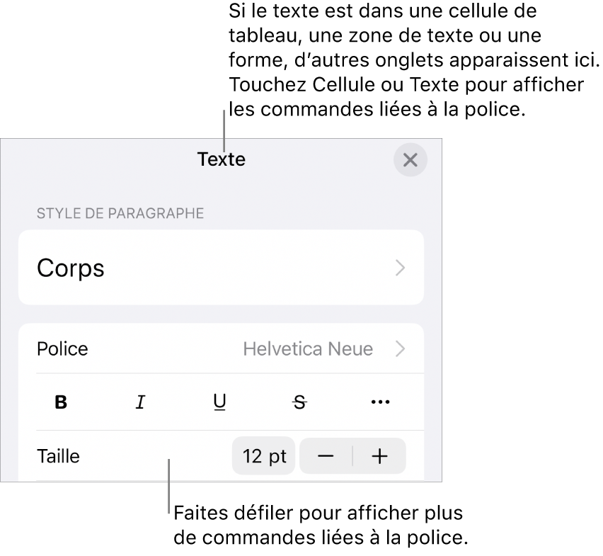 Commandes de texte du menu de format permettant de définir les styles, la police, la taille et la couleur des paragraphes et des caractères.