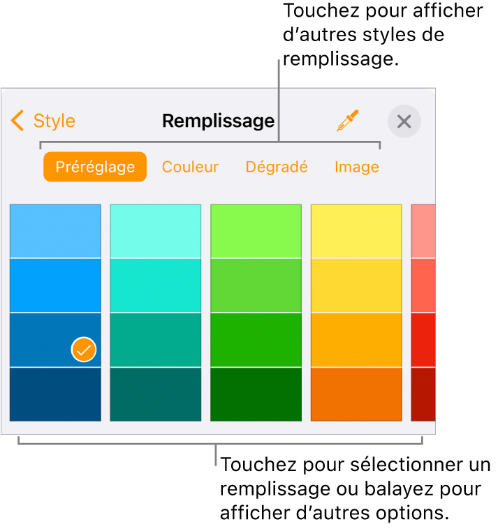 Options de remplissage de l’onglet Style du bouton Format.