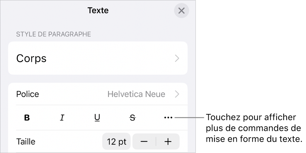 Onglet Texte des commandes Format accompagné d’une légende pour le bouton Plus d’options de texte.