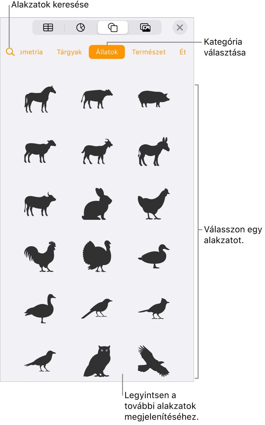 Az alakzatok könyvtára, amelynek tetején a kategóriák láthatók, alul pedig az alakzatok. A képernyő tetején lévő keresés gombbal alakzatokat kereshet, legyintéssel pedig további alakzatokat tekinthet meg.