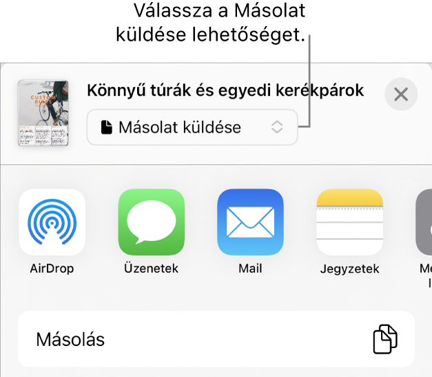 A Megosztás menü a felül elhelyezkedő Másolat küldése lehetőséggel.