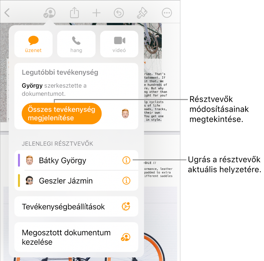 Az együttműködési menü a jelenlegi résztvevőkkel.